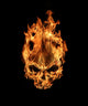 Fire Skull Wall Decal