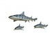 Requin La Opard Wall Decal