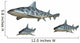 Requin La Opard Wall Decal