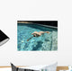 Swimming Dog Part One Wall Decal