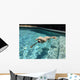 Swimming Dog Part One Wall Decal