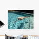 Swimming Dog Part One Wall Decal