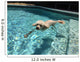 Swimming Dog Part One Wall Decal