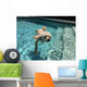 Swimming Dog Part Two Wall Decal
