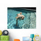 Swimming Dog Part Two Wall Decal