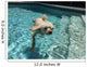 Swimming Dog Part Two Wall Decal