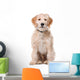 Sitting Beige Labradoodle Dog Wall Decal