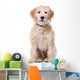 Sitting Beige Labradoodle Dog Wall Decal