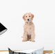 Beige Labradoodle Dog Wall Decal