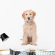 Beige Labradoodle Dog Wall Decal