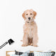 Beige Labradoodle Dog Wall Decal