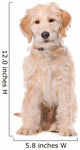 Beige Labradoodle Dog Wall Decal