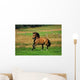 Bay Horse in Field Wall Decal