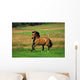 Bay Horse in Field Wall Decal