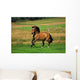 Bay Horse in Field Wall Decal