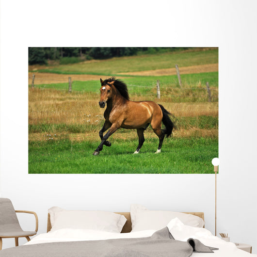 Bay Horse in Field Wall Decal