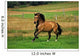 Bay Horse in Field Wall Decal