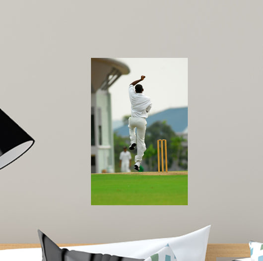 Stock Photo Cricket Bowler Wall Decal