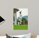Stock Photo Cricket Bowler Wall Decal