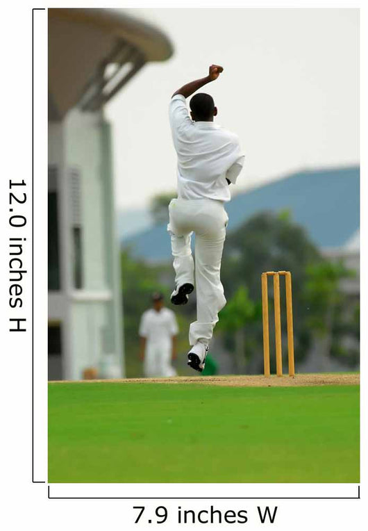 Stock Photo Cricket Bowler Wall Decal