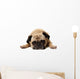 Missing You Pug Wall Decal