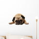 Missing You Pug Wall Decal