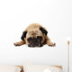 Missing You Pug Wall Decal