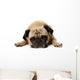 Missing You Pug Wall Decal