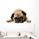 Missing You Pug Wall Decal