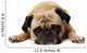Missing You Pug Wall Decal