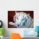 Tigre Blanco Wall Decal