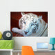 Tigre Blanco Wall Decal