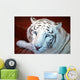 Tigre Blanco Wall Decal