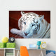 Tigre Blanco Wall Decal