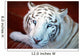 Tigre Blanco Wall Decal