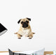 Yoga Pug Wall Decal