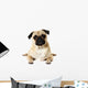 Yoga Pug Wall Decal