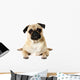 Yoga Pug Wall Decal