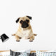 Yoga Pug Wall Decal