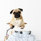 Yoga Pug Wall Decal