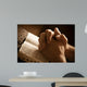 Praying Hands Open Bible Wall Decal