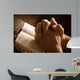 Praying Hands Open Bible Wall Decal