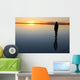 Silhouette of a Person Reflected in Water Wall Decal