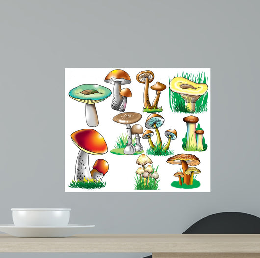 Mushrooms Wall Stickers Wall Decal
