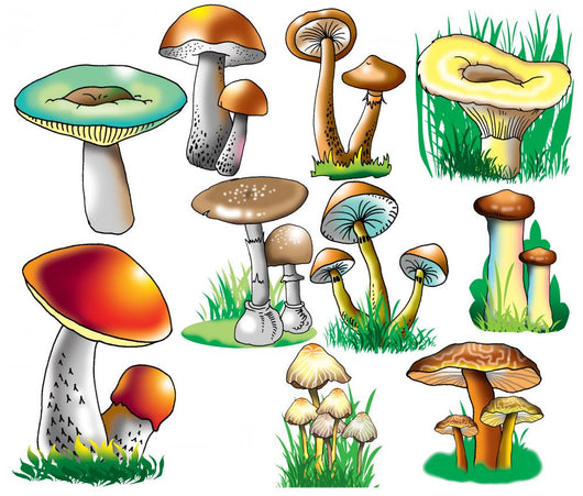 Mushrooms Wall Stickers Wall Decal