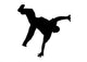 Street Dancer 7 Wall Decal