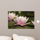 Pink Water Lilly Wall Decal