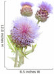 Blooms Cynara Cardunculus Cardoon Wall Decal