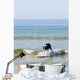 Dog Is Surfing Himself Wall Decal