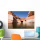 Lake Powell and Glen Wall Decal